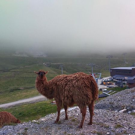 Le Petit Studio Du Tourmalet Pied Des Pistes - ลามงจี ภายนอก รูปภาพ