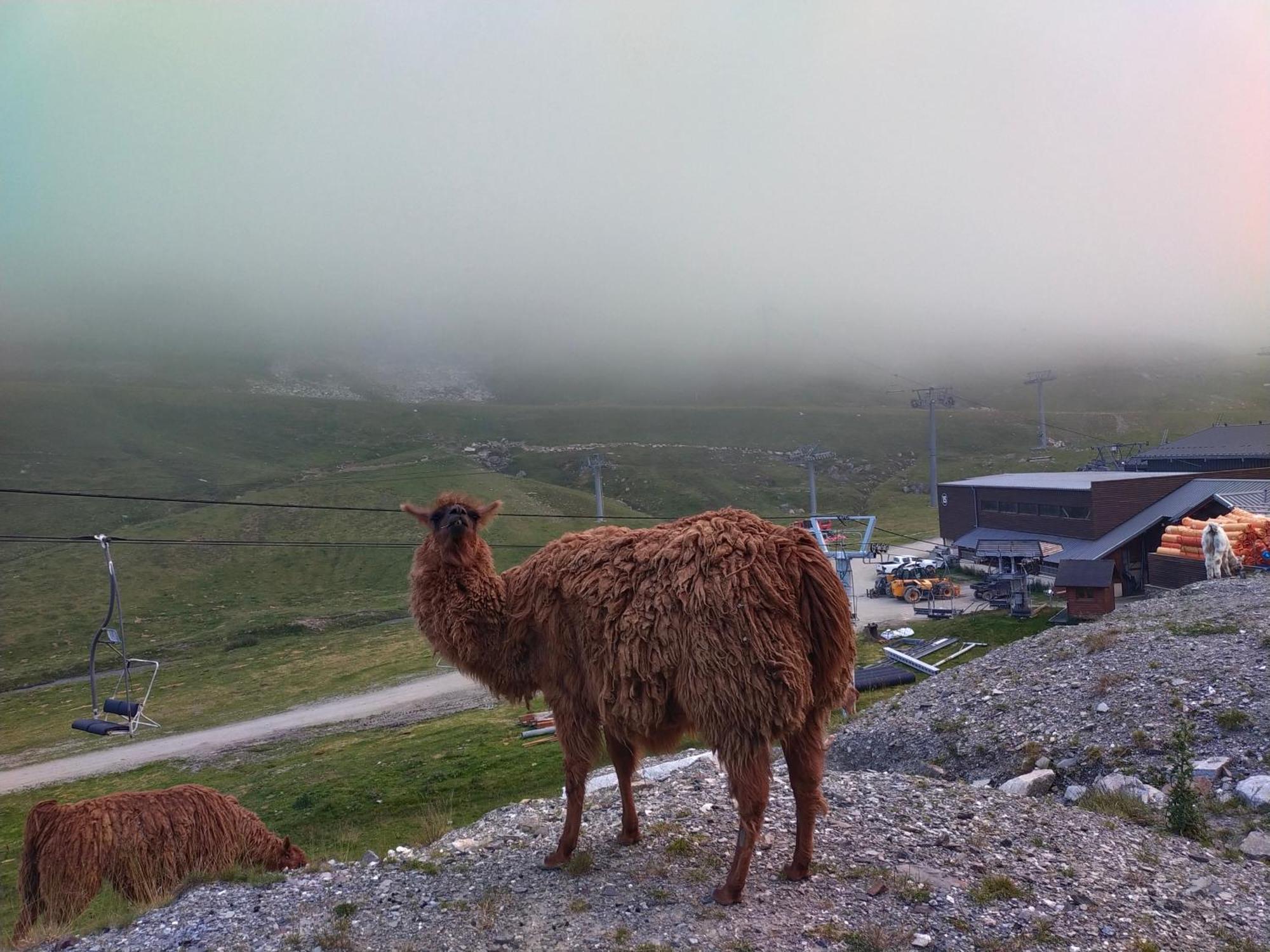 Le Petit Studio Du Tourmalet Pied Des Pistes - ลามงจี ภายนอก รูปภาพ