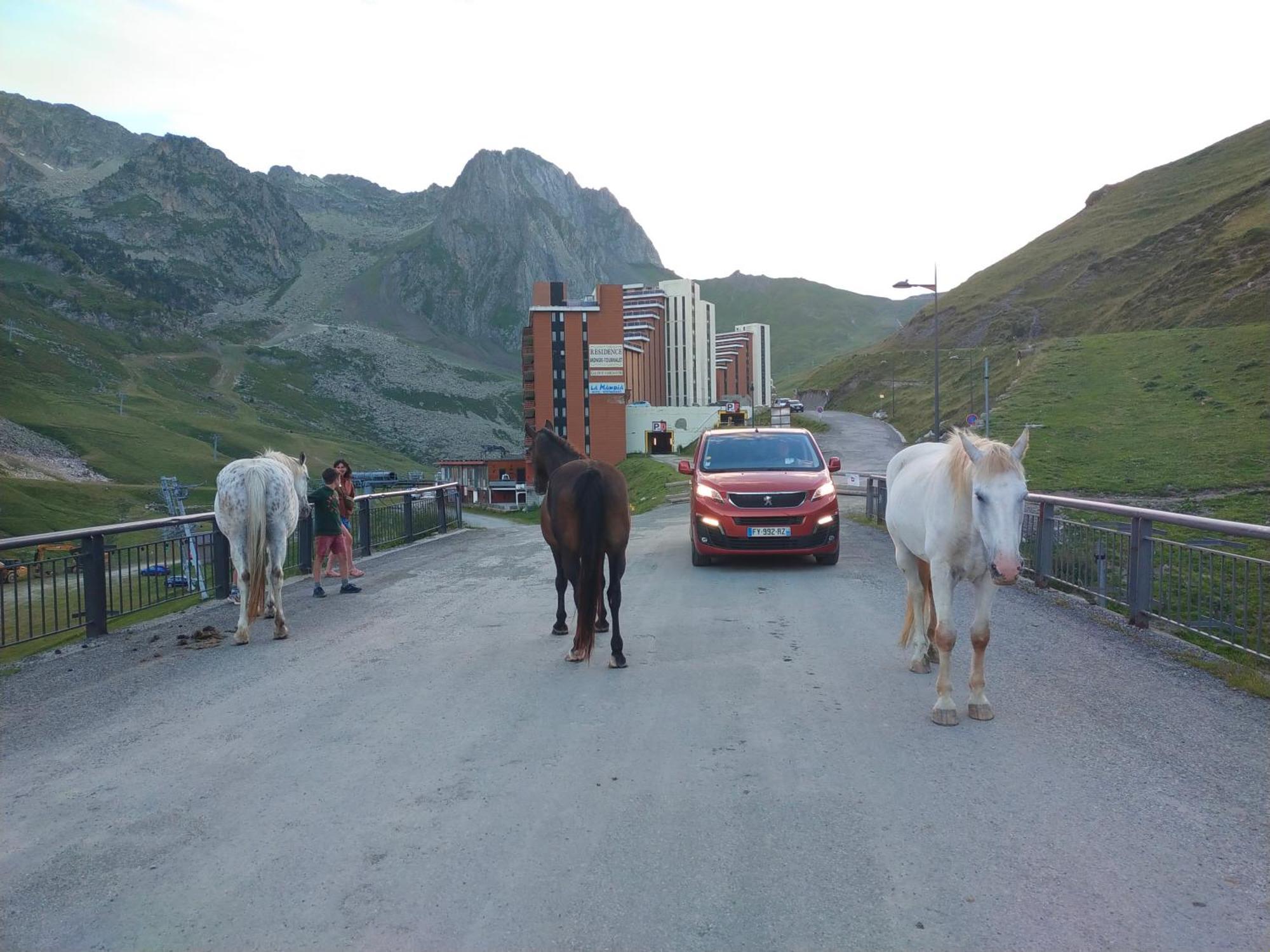 Le Petit Studio Du Tourmalet Pied Des Pistes - ลามงจี ภายนอก รูปภาพ