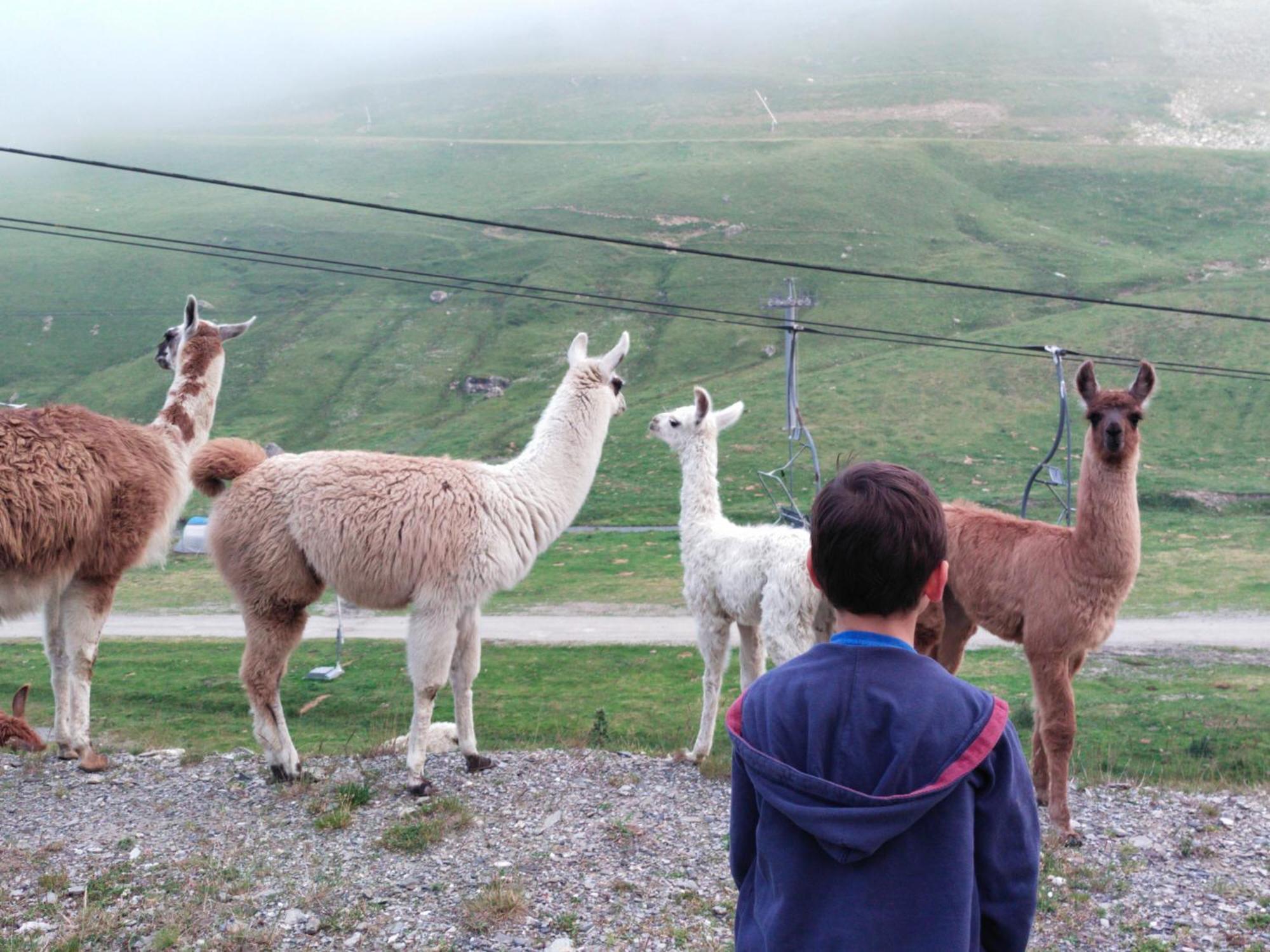 Le Petit Studio Du Tourmalet Pied Des Pistes - ลามงจี ภายนอก รูปภาพ